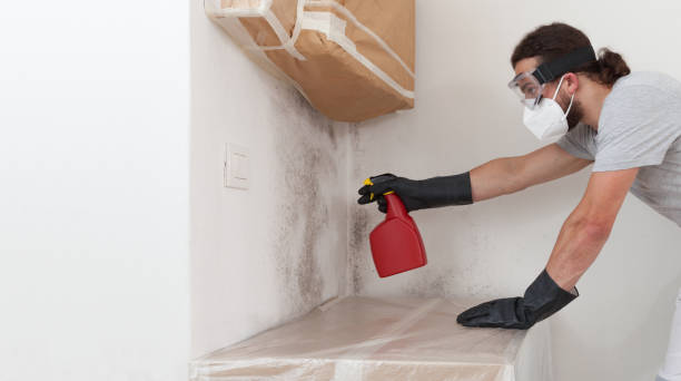 Professional Bathroom Mold Removal technician working in Fulton, MD