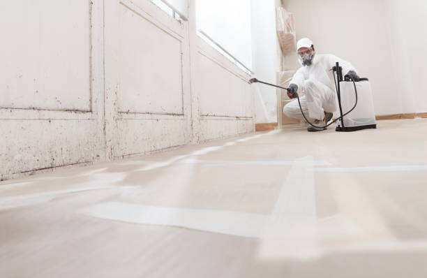 24/7 Emergency Bathroom Mold Removal experts in Fulton, MD