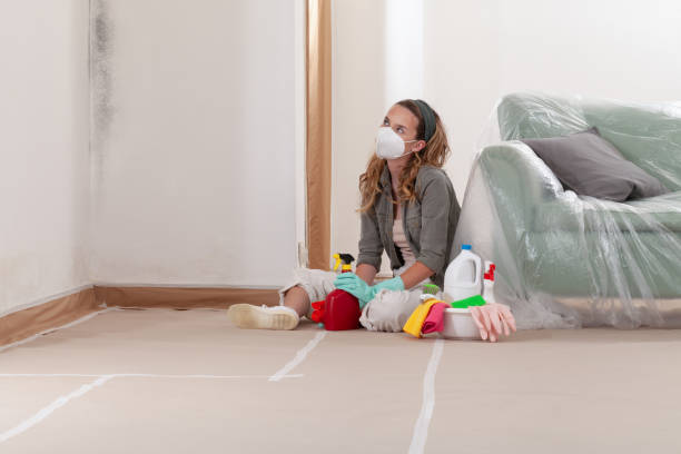 Reliable Bathroom Mold Removal contractor in Fulton, MD by Mold Remediation HQ
