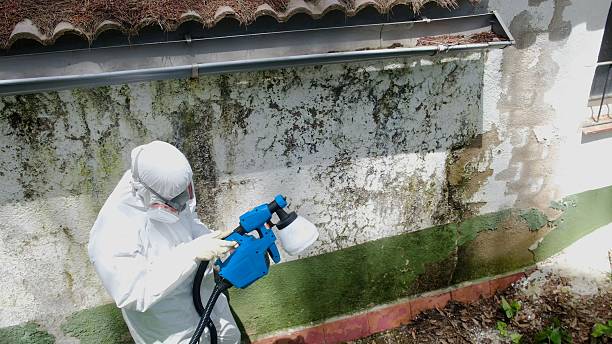 Top rated local Bathroom Mold Removal specialists in Fulton, MD